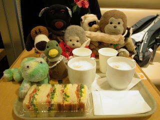 08本日cast