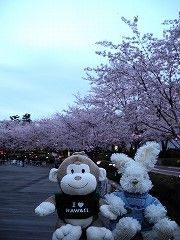 DSCN1960