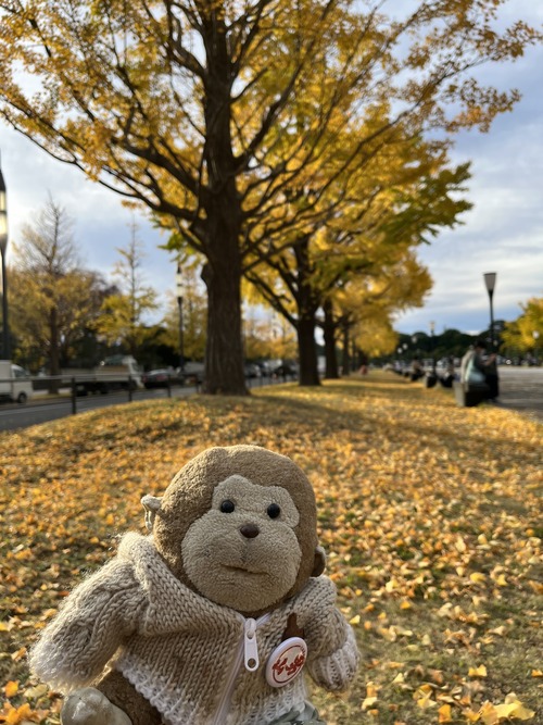 11月皇居前2