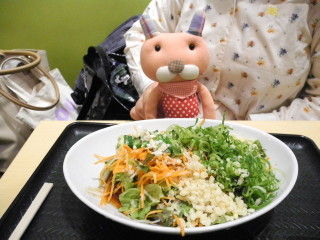 一日分の野菜のサラダうどん