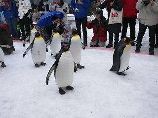 IMG_20160214_110418