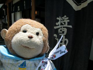 774fb0d9.jpg