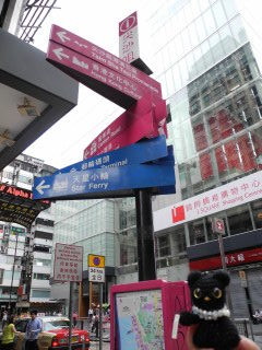 DSCN6018