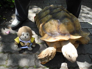 08江戸川公園