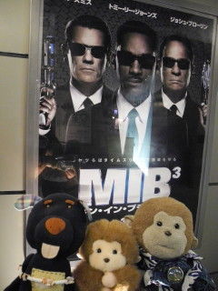 MIB3 02