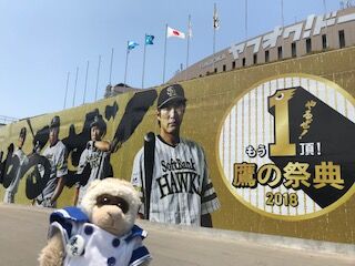 鷹の祭典18