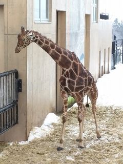 IMG_20160214_131051