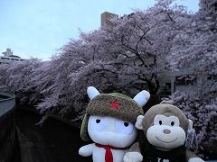 DSCN1971