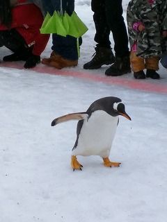 IMG_20160214_110251