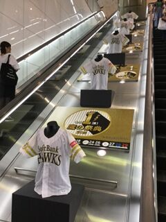 鷹の祭典18-2