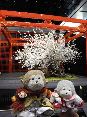 羽田桜祭り