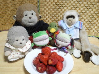 まごへえイチゴ1