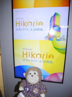 hikarieオープン
