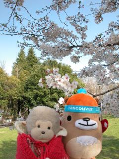 mukuみに