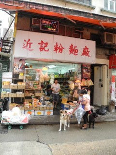 犬