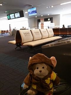 IMG_20160212_123222