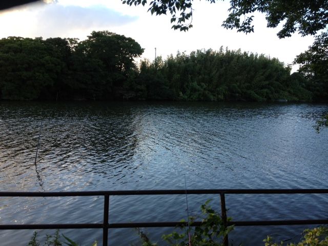 はまってしまった ナマズ釣り いつも笑っていたいね