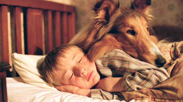 名犬ラッシー 観ました 日々徒然 映画とアニメなテレビ