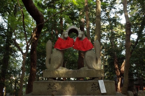 kitune