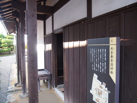 P1056482