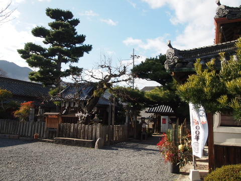 P1056573