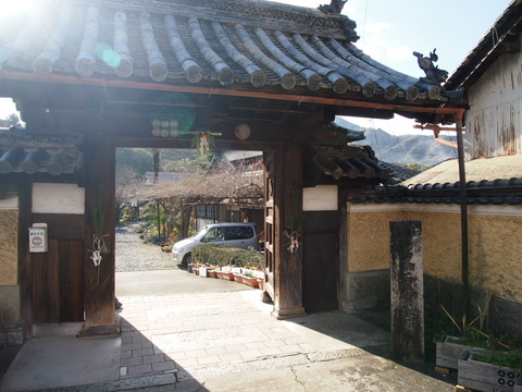 P1056571