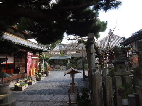 P1056566