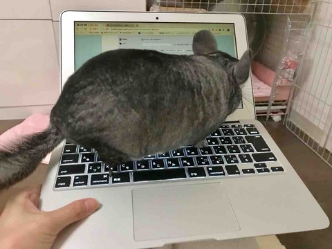 FullSizeRender