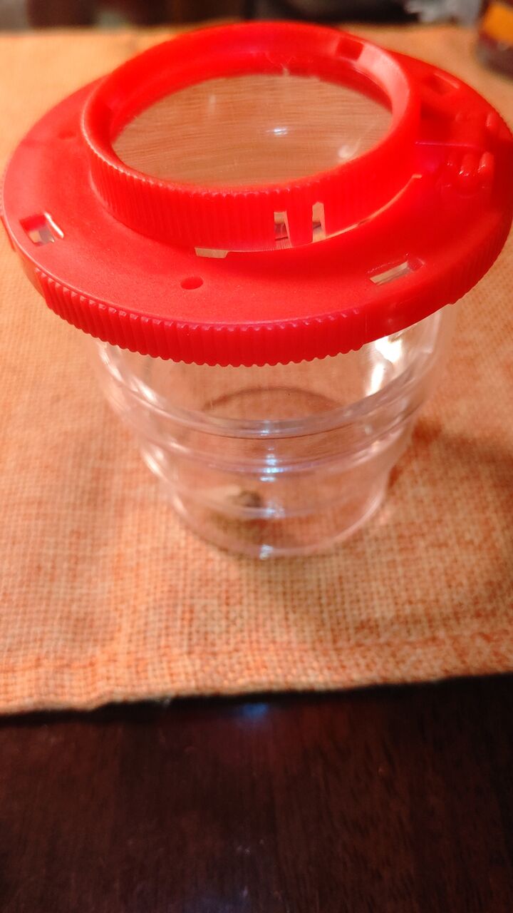 虫様飛来 虫様についてこい D ノ 虫様飛来 虫様についてこい D ノ
