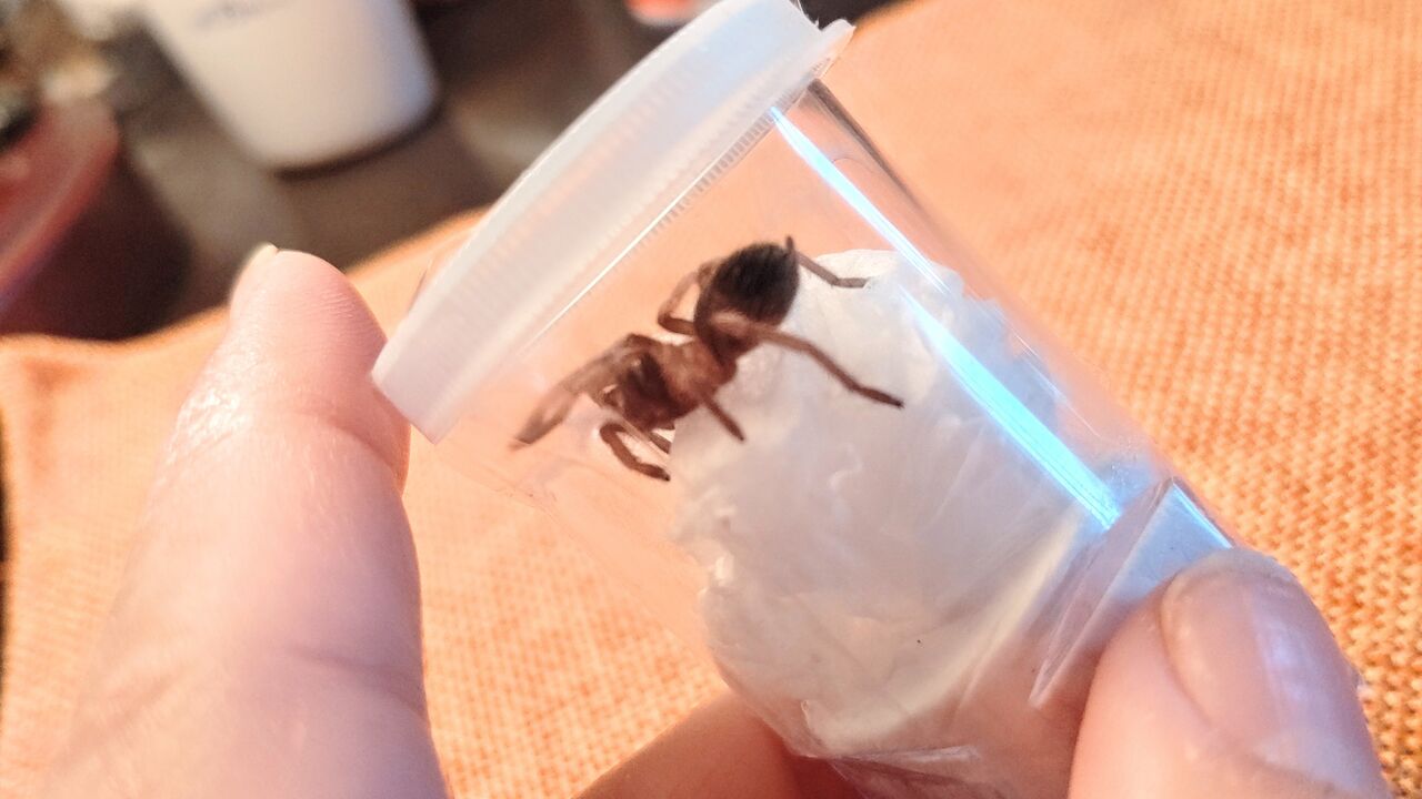 こんにちわ 赤ちゃん 虫様についてこい D ノ こんにちわ 赤ちゃん 虫様についてこい D ノ
