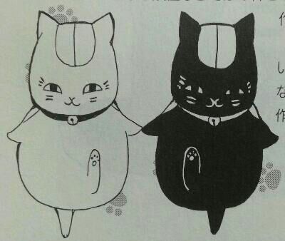 先住猫 ニャンコ先生と主様 ちゃいたんといっしょ 先住猫 ニャンコ先生と主様 ちゃいたんといっしょ