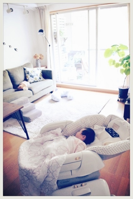 photo:06