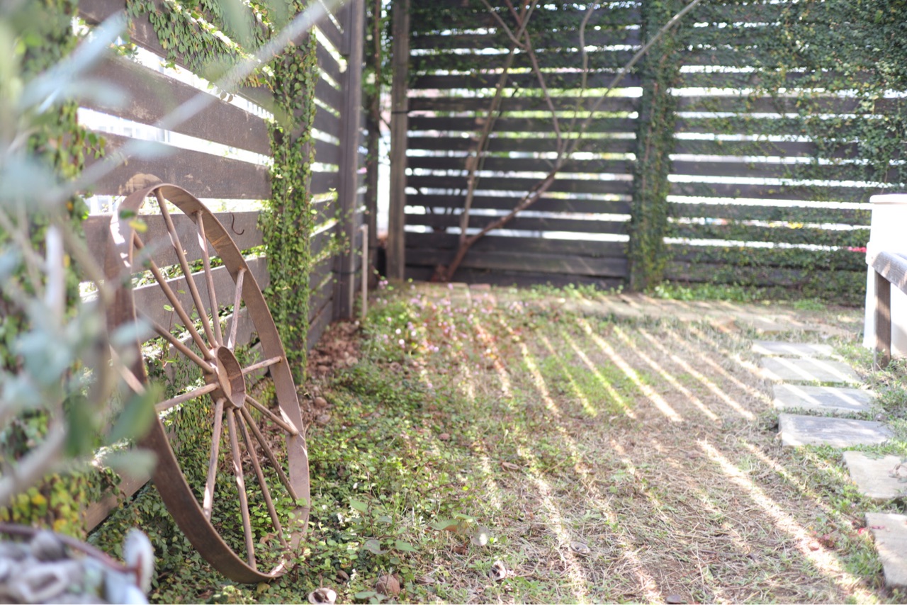 お庭づくり ヒメイワダレソウとクリーピングタイムを植えました Chairs And インテリアコーディネーター的ｄｉｙと暮らしのブログ Powered By ライブドアブログ