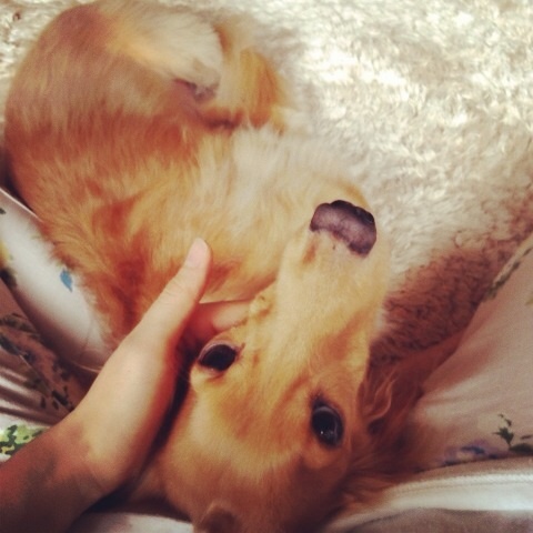 photo:04