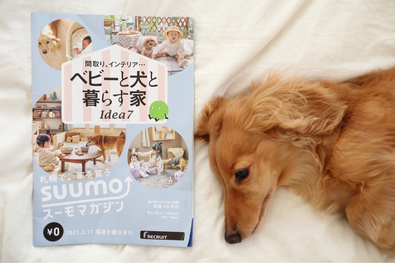 子供と犬 と暮らすことの本音の話 Chairs And インテリアコーディネーター的diyと暮らしのブログ Powered By ライブドア ブログ 子供と犬 と暮らすことの本音の話 Chairs And インテリアコーディネーター的diyと暮らしのブログ Powered By ライブドア ブログ