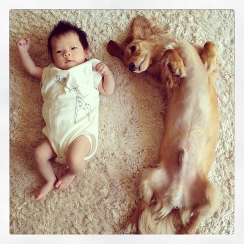 photo:04