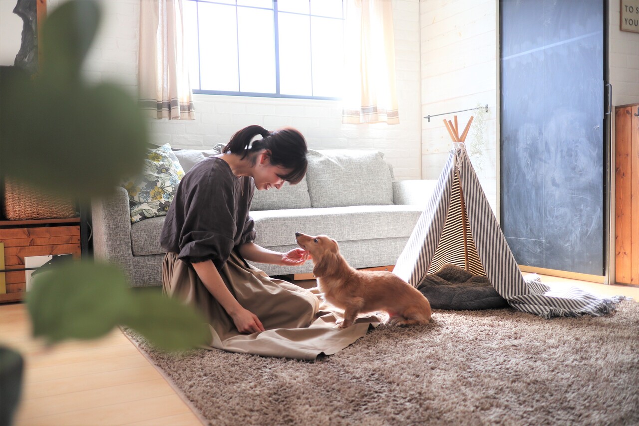超簡単3step 100均と家にあるアイテムを使って 愛犬用ティピーテント をdiyしよう Chairs And インテリアコーディネーター的ｄｉｙと暮らしのブログ Powered By ライブドアブログ