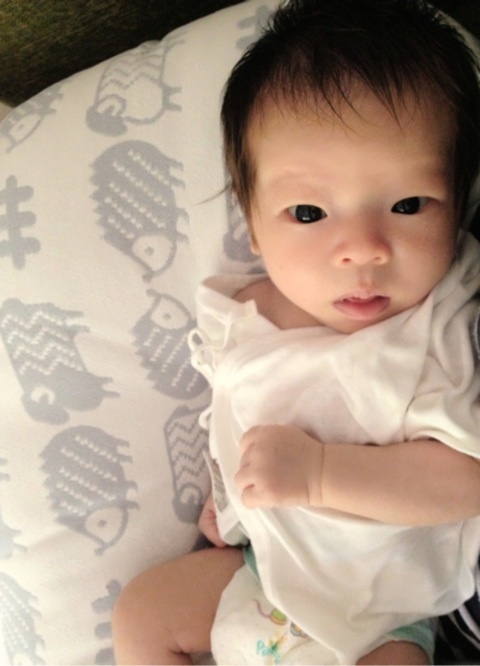 photo:01