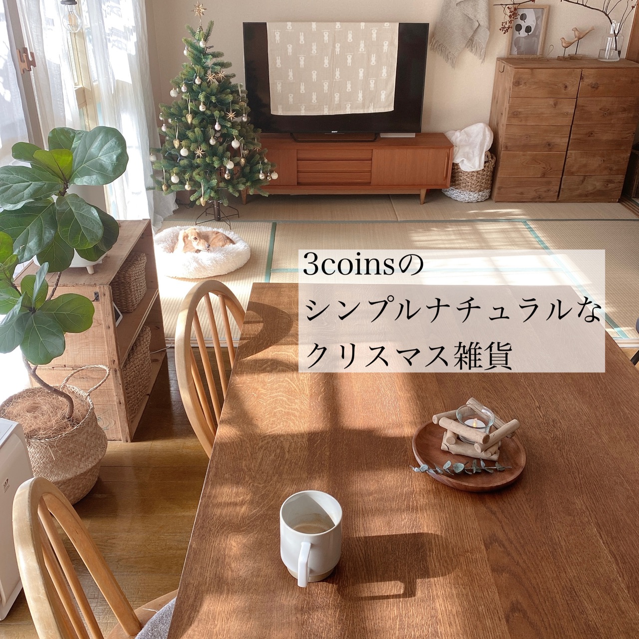 スリコ購入品】「クリスマスっぽ過ぎない」シンプルナチュラルなクリスマス雑貨 : Chairs and.  インテリアコーディネーター的ＤＩＹと暮らしのブログ
