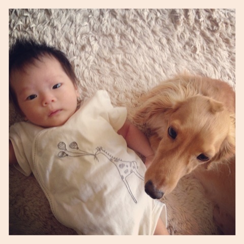 photo:01