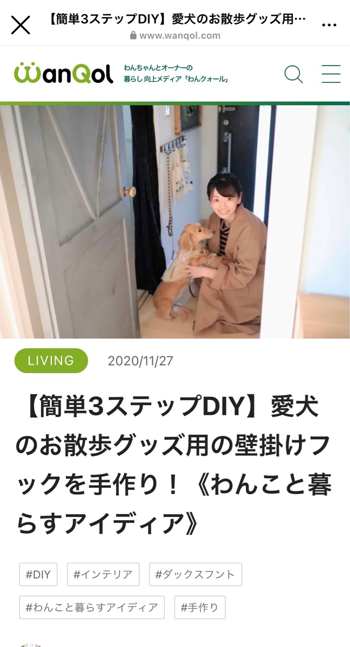 極狭玄関でもok 色々使える壁掛けフックをdiy Chairs And インテリアコーディネーター的ｄｉｙと暮らしのブログ Powered By ライブドアブログ