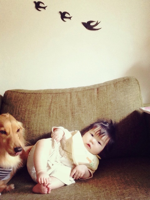 photo:03