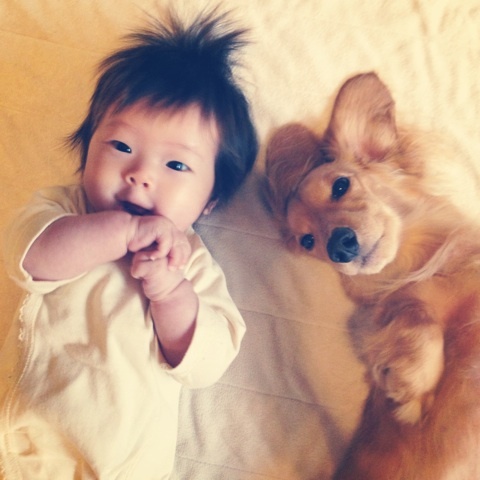 photo:06