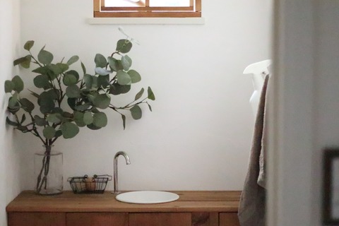 lifestyle_fakegreen_10
