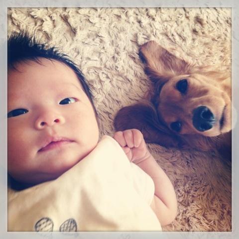 photo:02