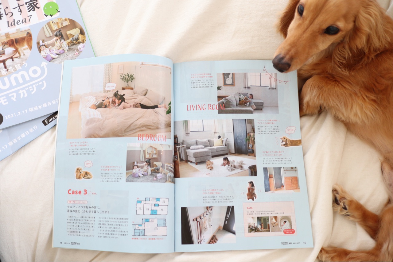 子供と犬 と暮らすことの本音の話 Chairs And インテリアコーディネーター的diyと暮らしのブログ Powered By ライブドアブログ 子供と犬 と暮らすことの本音の話 Chairs And インテリアコーディネーター的diyと暮らしのブログ Powered By ライブドアブログ
