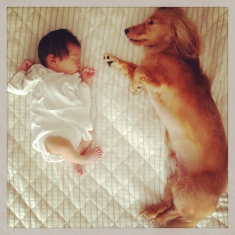 photo:01