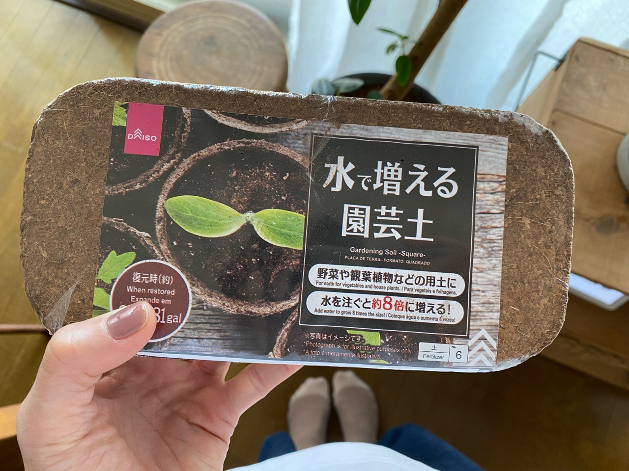 ダイソー 水で増える 土 知ってる Chairs And インテリアコーディネーター的ｄｉｙと暮らしのブログ Powered By ライブドアブログ