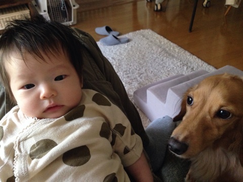 photo:06