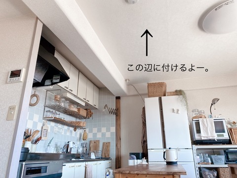 IMG_8575